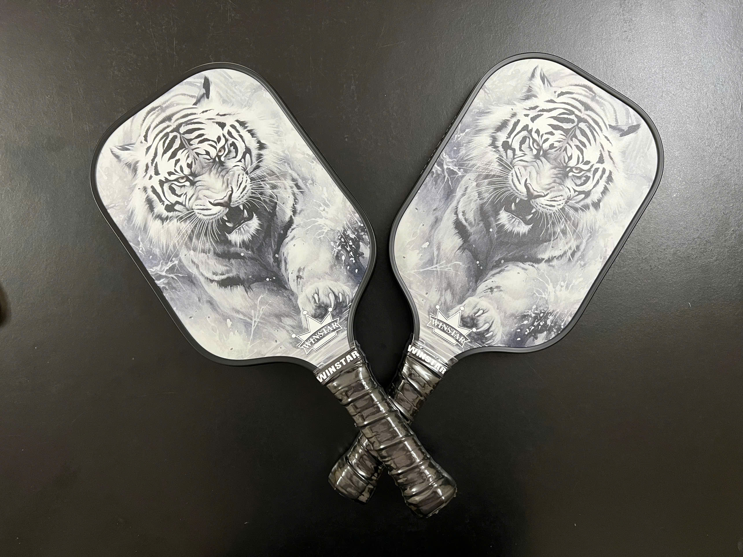 VỢT CẶP PICKLEBALL WINSTAR FIBER CARBON